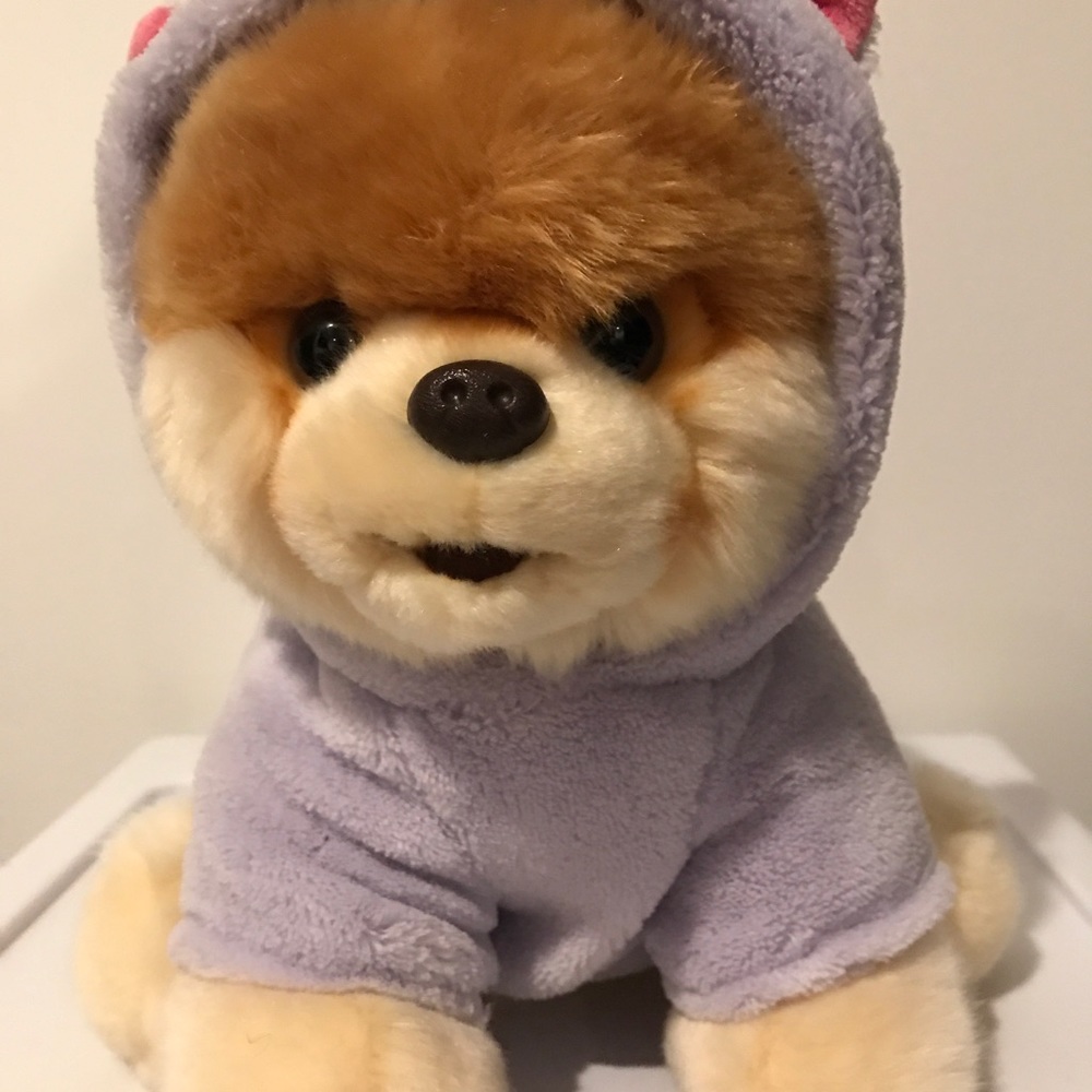Boo dog